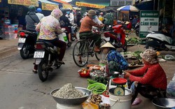 "Lang thang chợ quê" đất An Giang, mê gì đâu đám rau dại, rổ ổi, vài trái dừa khô, ít cá đồng giăng lưới