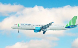 Nợ thuế hơn 300 tỷ, khó khăn của Bamboo Airways được tháo gỡ sau cuộc họp với lãnh đạo Bình Định