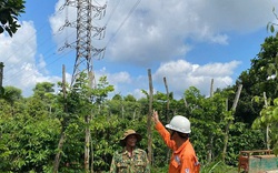 Đắk Lắk chủ động ứng phó mùa mưa bão, đảm bảo cung cấp điện an toàn, ổn định