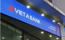 Lộ diện 8 cổ đông chi phối gần 30% vốn VietABank