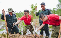 Tăng màu xanh cho U Minh Thượng, mở rộng diện tích lá phổi xanh