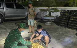 Liên tiếp bắt giữ số lượng lớn gà giống không rõ nguồn gốc, Bộ NNPTNT đề nghị tỉnh Quảng Ninh mạnh tay ngăn chặn