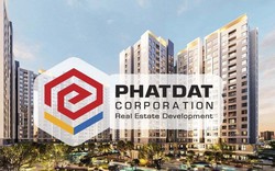 Phát Đạt sắp phát hành 34,1 triệu cổ phiếu để hoán đổi nợ, "chật vật" vì nợ thuế