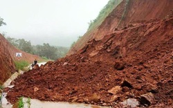 Gió lốc, mưa lớn cuốn bay 27 tỷ giá trị tài sản của tỉnh Đắk Nông