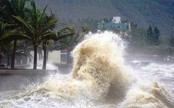 Ngay sau bão số 6 Trà Mi, ngoài khơi Philippines lại xuất hiện cơn bão mới, liệu có đổ bộ vào Biển Đông?