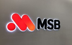 MSB lãi hơn 4.900 tỷ đồng, đạt 72% kế hoạch năm