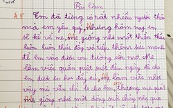 Bài văn tả mẹ của cậu bé lớp 3 ở Hà Nội khiến ai cũng thích thú vì "hay hơn văn mẫu"