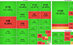 Nhóm ngân hàng nâng đỡ thị trường, chỉ số VN-Index hôm nay hồi phục gần 6 điểm