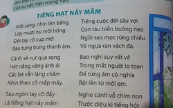 Tranh cãi bài thơ "Tiếng hạt nảy mầm" trong sách Tiếng Việt lớp 5: Có nên đưa vào sách giáo khoa?