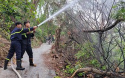 Cháy rừng phòng hộ ở Hải Dương, hàng trăm người tham gia dập tắt đám cháy