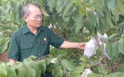 Na Mai Sơn - sản phẩm OCOP 3 sao mang lại thu nhập hàng tỷ đồng cho người nông dân