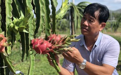 Phó Trưởng ban Tuyên giáo tỉnh Bình Thuận: Chương trình Tự hào Nông dân Việt Nam tạo động lực, thúc đẩy nông dân làm giàu