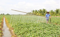 Sáng chế ra những nông cụ nông nghiệp tiện lợi, nhiều nông dân Vĩnh Long làm lợi cho cộng đồng