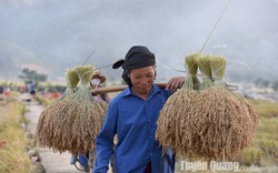 Một làng cổ 200 năm tuổi đẹp như phim cách TP Tuyên Quang 160km