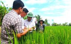 Diễn đàn Lắng nghe nông dân nói: Nông dân kiến nghị  tháo gỡ nhiều vấn đề "nóng" về đất đai, môi trường