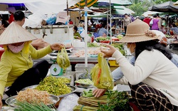 Nước tràn đồng ở vùng đầu nguồn Đồng Tháp, ra chợ trên trời dưới đặc sản, càng cua đồng to bự thế này đây