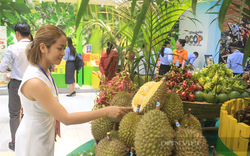 Doanh nghiệp Trung Quốc tăng tìm mua thanh long, sầu riêng, tổ yến của Việt Nam