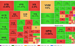 Thị trường "xanh vỏ đỏ lòng", chỉ số VN-Index hôm nay hồi phục nhẹ