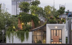 Park Roof House: Thiết kế cả "công viên xanh" trên gác mái giữa lòng thành phố