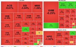 Hơn 500 mã "rực lửa", chỉ số VN-Index hôm nay thu hẹp biên độ với ngưỡng 1.200 điểm