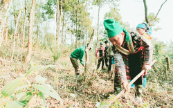 Cán bộ, hội viên, nông dân tỉnh Lai Châu gửi ý kiến tới Diễn đàn Chủ tịch Hội NDVN-Bộ trưởng Bộ TNMT