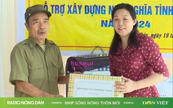 Nhịp sống nông thôn mới ngày 22/11/2024