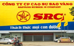 Cao su Sao Vàng nhiều lần vi phạm kê khai thuế