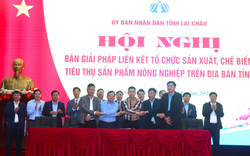 Lai Châu bàn giải pháp liên kết tổ chức sản xuất, chế biến, tiêu thụ sản phẩm nông nghiệp