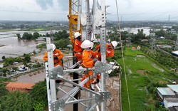 Đóng điện, đưa vào vận hành hàng loạt công trình lưới điện 110kV trọng điểm khu vực phía Nam