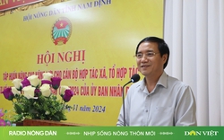 Nhịp sống nông thôn mới ngày 8/11/2024