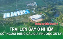 Chậm trễ xử lý trại chăn nuôi gây ô nhiễm cứ "gõ đầu" lãnh đạo địa phương (Phóng sự 4)