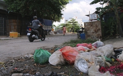 Phương tiện thu gom rác được lưu thông cả ngày lẫn đêm dịp Tết Nguyên đán 