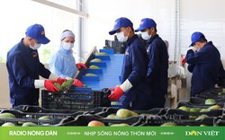 Nhịp sống nông thôn mới ngày 02/12/2024