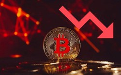 Giá Bitcoin quay đầu, chủ sở hữu mất trắng 3.220 USD/BTC