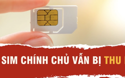 Vụ thu hồi SIM "lục quý 9": Quy trình thu hồi số điện thoại của nhà mạng ra sao?