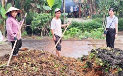 Dân ở nơi này của Thừa Thiên Huế "biến" thứ rác gì thành phân hữu cơ, bón cho cây, cây nào cũng tốt?