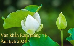 Văn khấn Rằm tháng 11 Âm lịch 2024 chính xác, cầu cuối năm Giáp Thìn may mắn, bình an, tài lộc dồi dào