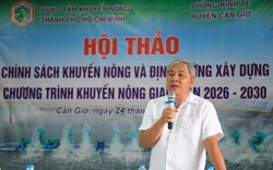 Tháo gỡ đầu ra cho cá dứa Cần Giờ 