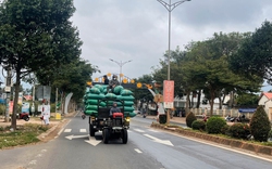 Đắk Nông: Giá cà phê đột ngột "đổ đèo", nhiều đại lý có động thái lạ khiến nông dân "rối như tơ vò"