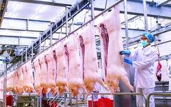 Masan MEATLife và hành trình định hình thị trường thịt mát