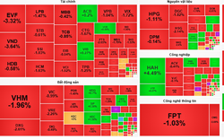 Thị trường rực sắc đỏ, chỉ số VN-Index hôm nay giảm gần 10 điểm