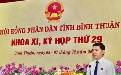 Bình Thuận: Thông qua chủ trương chuyển hơn 14 ha rừng trồng làm đường giao thông