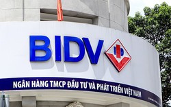 Thiết lập lợi nhuận kỷ lục, BIDV báo lãi lớn hơn 1 tỷ USD