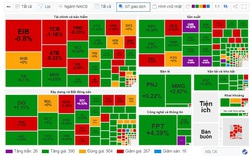 VN-Index tăng gần 9 điểm trong phiên đầu tiên của tháng 2