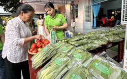 Cùng với đào, mai ngày Tết, người dân TP.HCM đi chợ phiên mua nông sản sạch