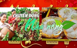 Chuyển động Nhà nông 10/2: Xúc tiến thành lập 2 hiệp hội cà phê và yến sào Gia Lai