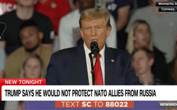 Ông Trump dọa sẽ để Nga "làm bất cứ điều gì họ muốn" với các nước NATO 