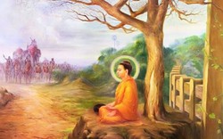 Bí ẩn về dòng tộc của Đức Phật, hậu duệ nay vẫn tồn tại