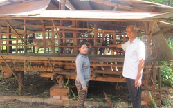 Cách làm hay giúp Hội Nông dân một xã ở tỉnh Bà Rịa – Vũng Tàu không còn hội viên nông dân nghèo