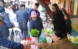 Rau xanh, thực phẩm dồi dào, không tăng giá dịp Tết